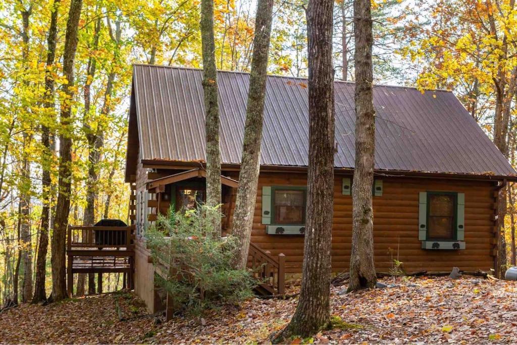 Вілла Mountain Time Cabin, Hot Tub, Fire Pit, Fireplace Блу-Ридж Екстер'єр фото
